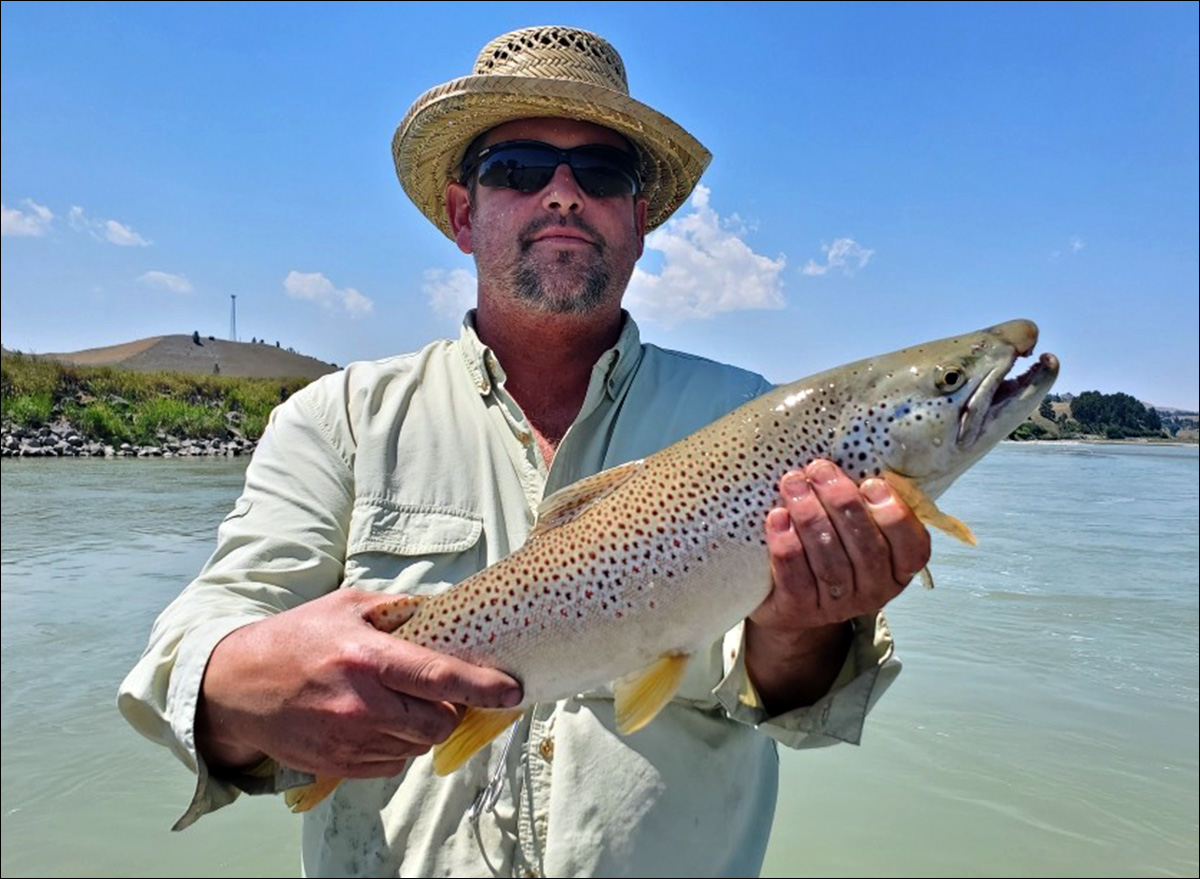 Andrew Parent Brown Trout on Yellowstone